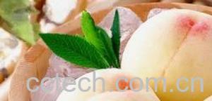 果蔬百科病人吃桃子的坏处-0