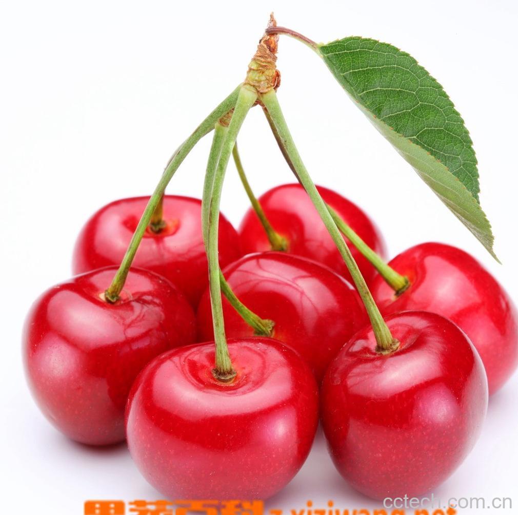 果蔬百科大樱桃-0