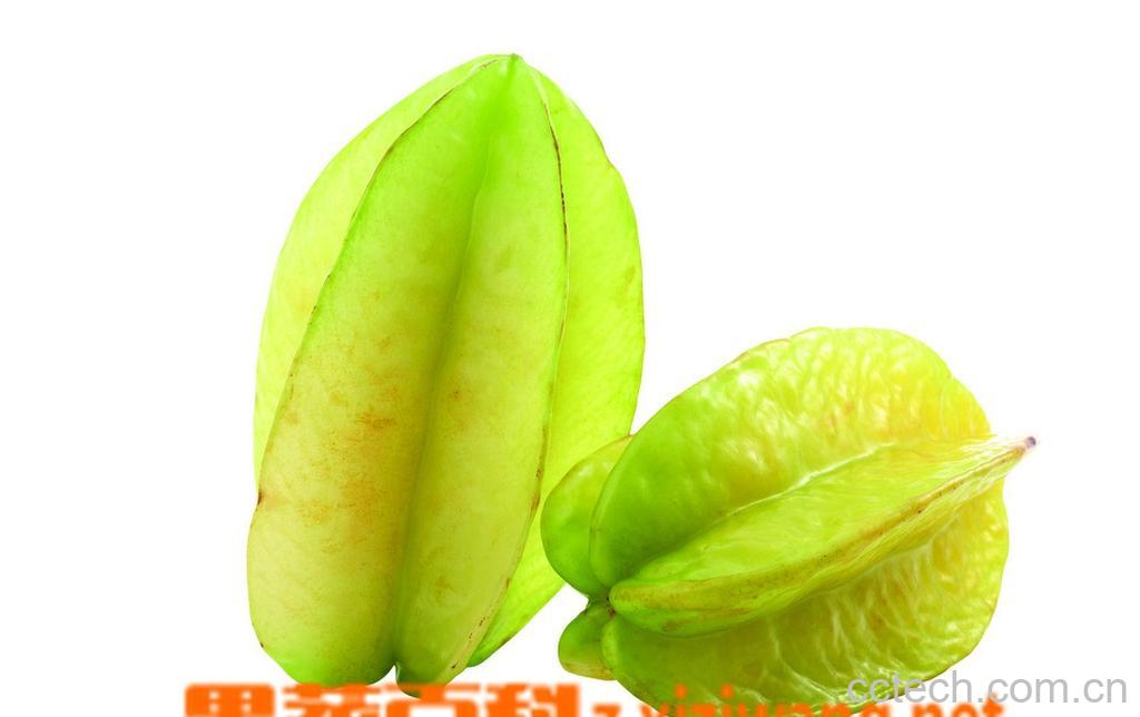 果蔬百科杨桃-0