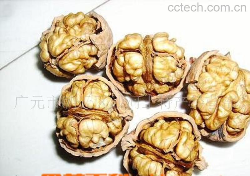 果蔬百科核桃-0