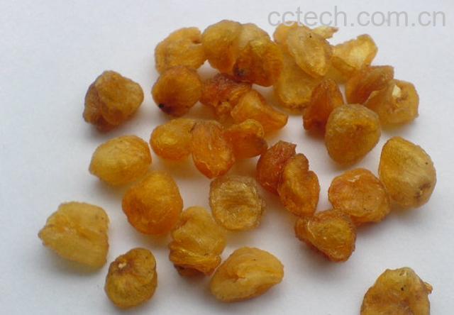 果蔬百科龙眼肉-0