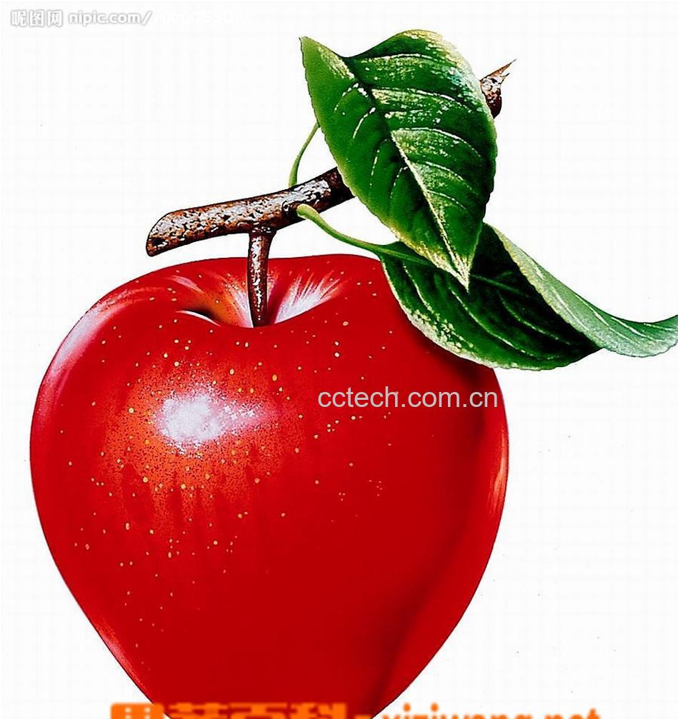 果蔬百科苹果-0