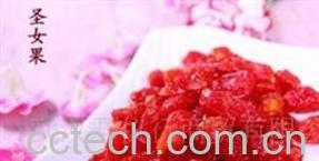 果蔬百科话梅圣女果-0