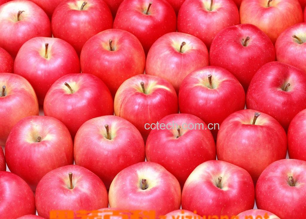 果蔬百科苹果-0