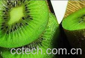 果蔬百科猕猴桃-0