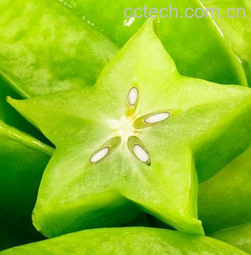 果蔬百科杨桃-0