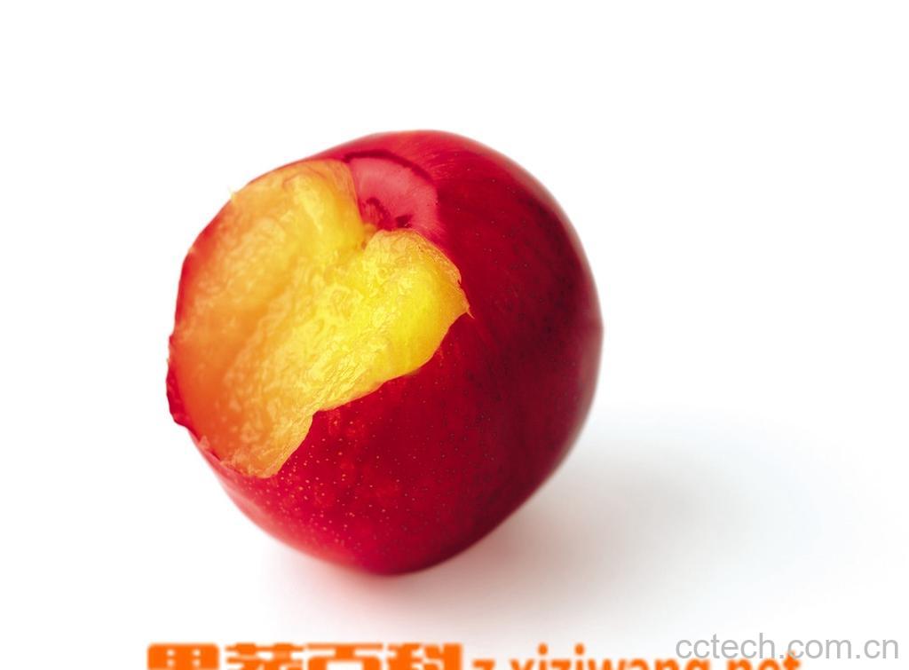 果蔬百科油桃-0