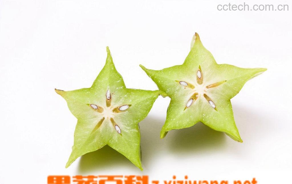 果蔬百科杨桃-0