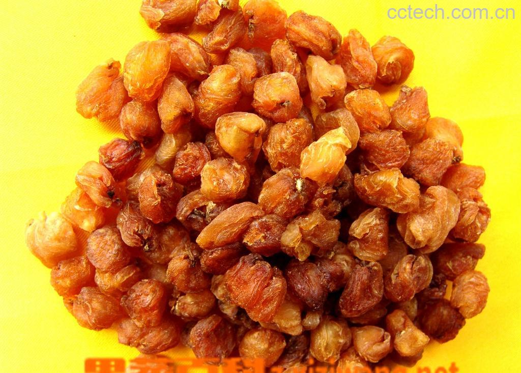 果蔬百科龙眼肉-0