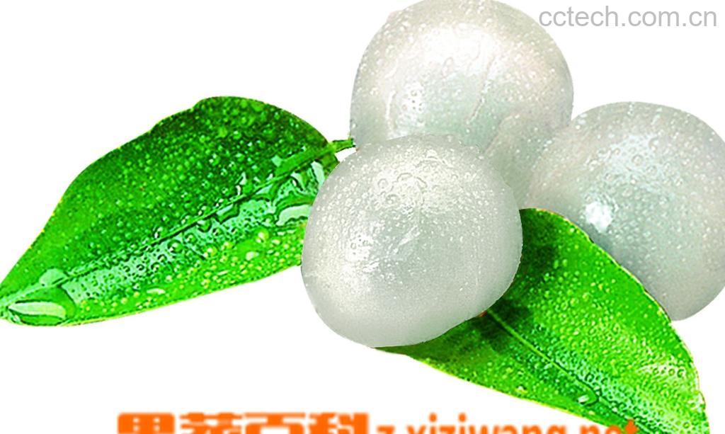 果蔬百科龙眼-0