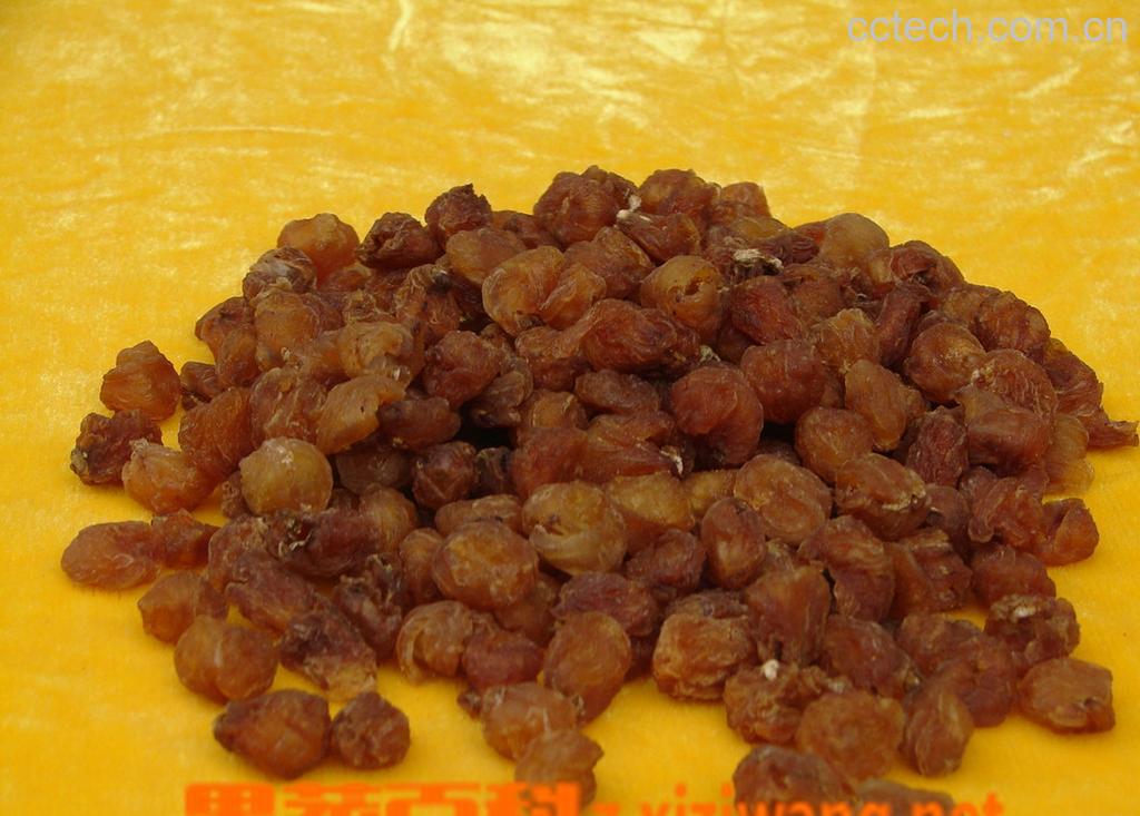 果蔬百科龙眼肉-0