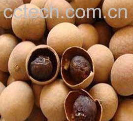 果蔬百科龙眼干-0