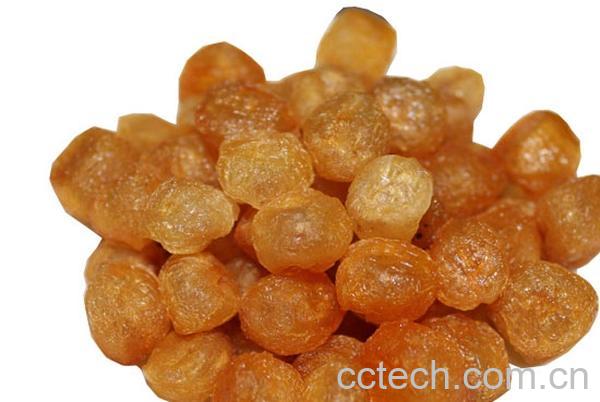 果蔬百科龙眼肉-0