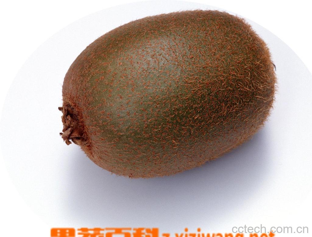 果蔬百科猕猴桃-0