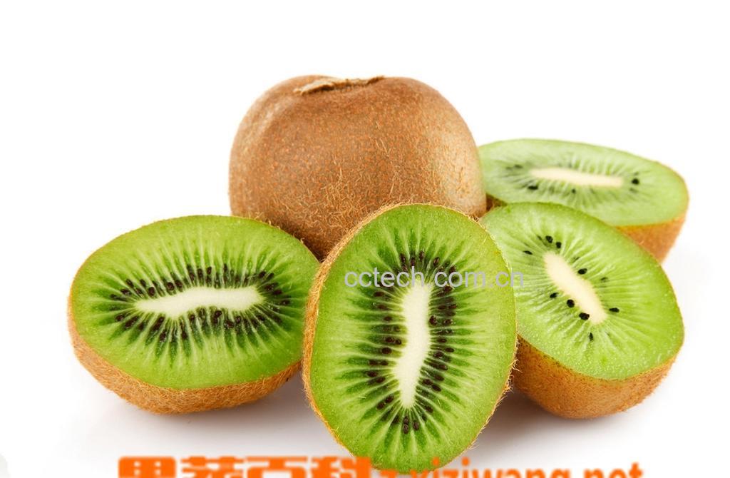 果蔬百科猕猴桃-0