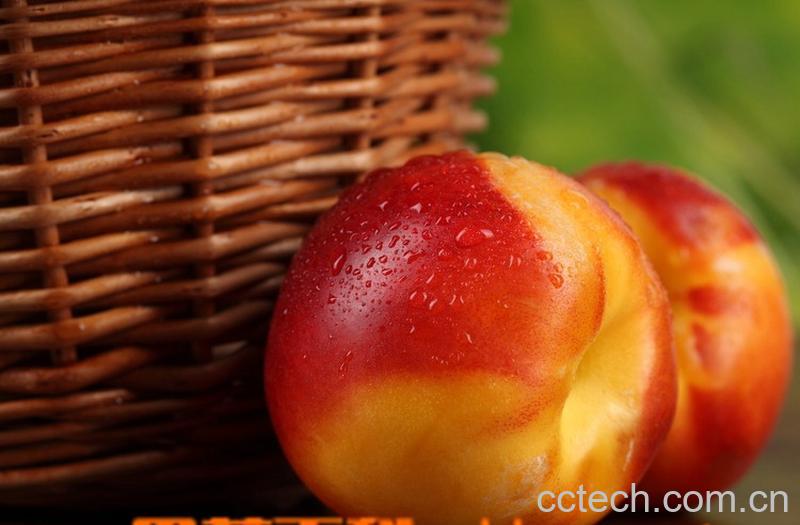 果蔬百科油桃-0