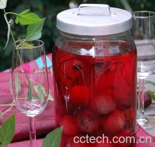 果蔬百科杨梅酒-0