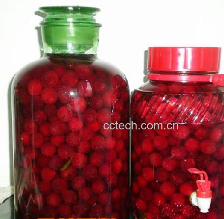 果蔬百科杨梅酒-0