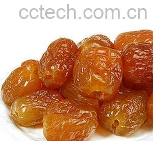 果蔬百科蜜枣-0