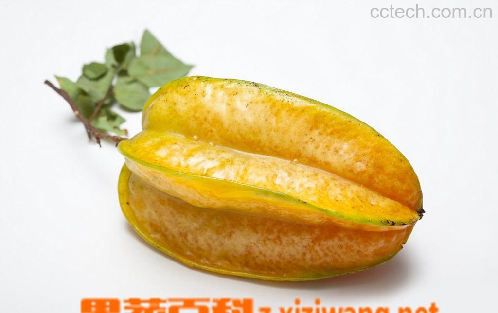 果蔬百科杨桃-0