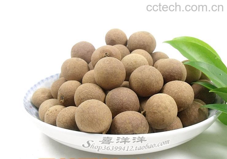 果蔬百科桂圆-0