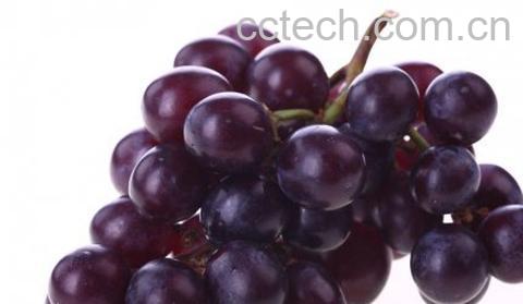 果蔬百科吃葡萄的好处-0
