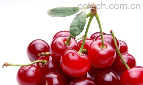 果蔬百科吃樱桃的好处-0