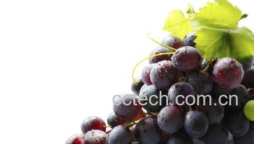果蔬百科葡萄,葡萄酒-0