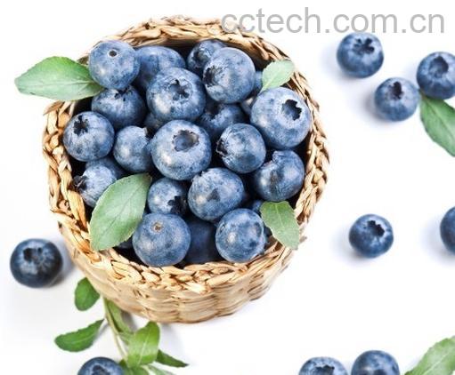 果蔬百科蓝莓-0