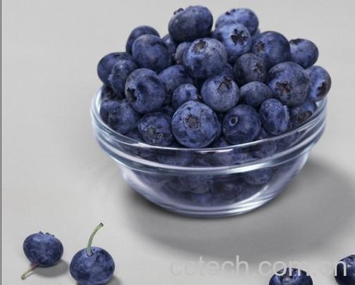 果蔬百科蓝莓-0