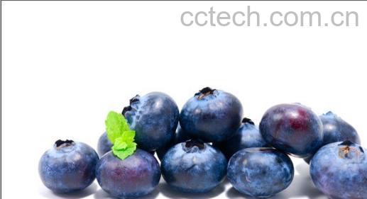 果蔬百科蓝莓-0