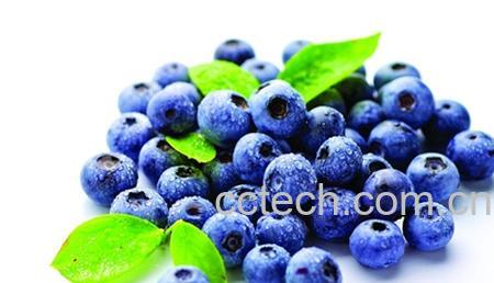 果蔬百科蓝莓-0