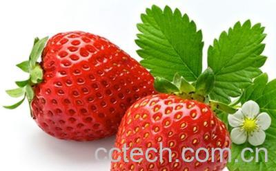 果蔬百科吃草莓的好处与坏处-0