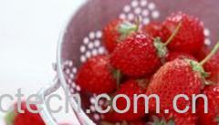 果蔬百科孕妇吃草莓的好处-0