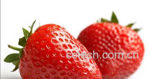 果蔬百科草莓-0