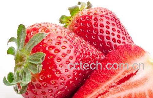 果蔬百科草莓-0