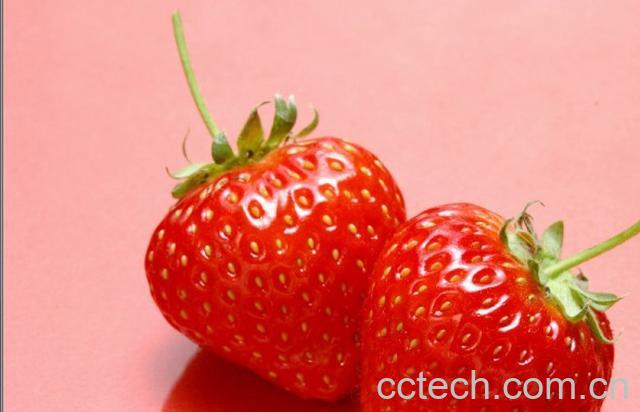 果蔬百科草莓-0