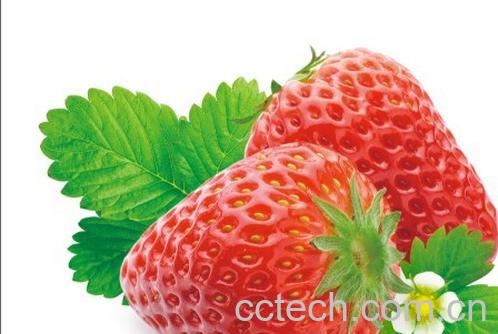果蔬百科草莓-0