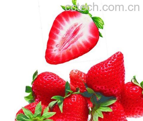果蔬百科草莓-0