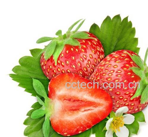 果蔬百科草莓-0
