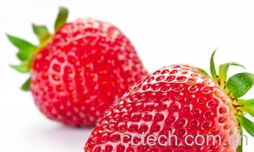 果蔬百科草莓-0