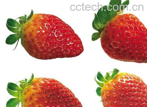 果蔬百科草莓-0