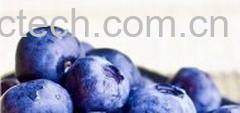 果蔬百科蓝莓泡水-0