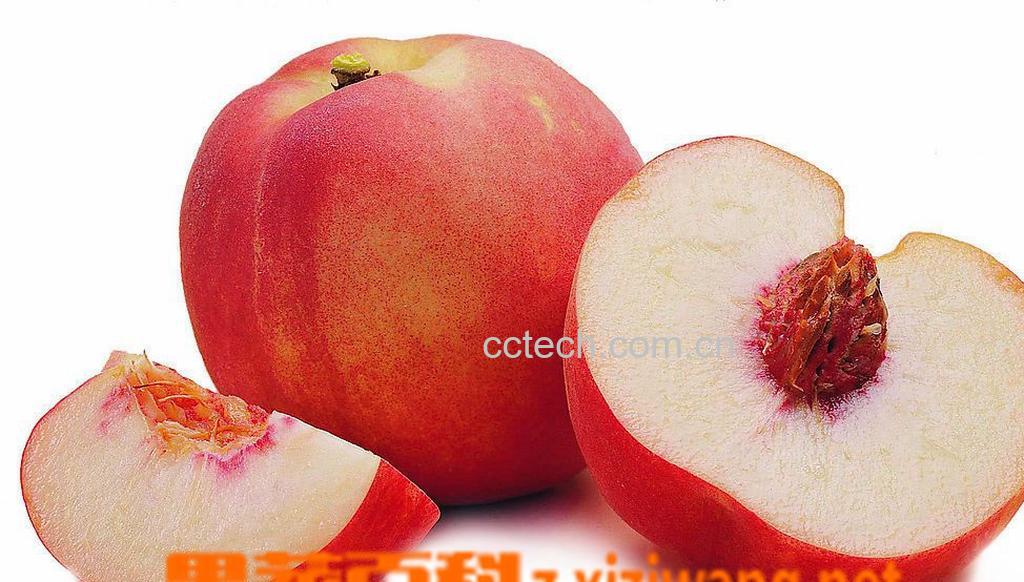 果蔬百科桃子-0