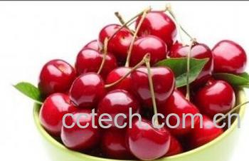 果蔬百科樱桃-0