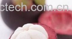 果蔬百科山竹皮-0