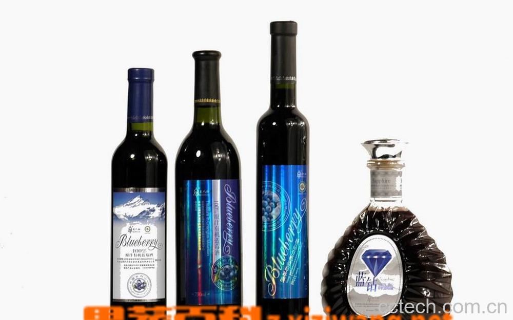 果蔬百科蓝莓酒-0