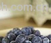 果蔬百科蓝莓干-0