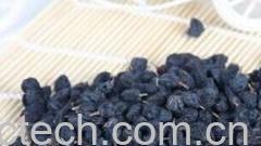 果蔬百科桑葚干-0