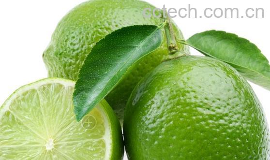 果蔬百科柠檬-0